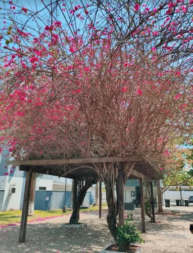 Alugo Apartamento no condomínio Garden Clube no 2 andar não pega sol da tarde