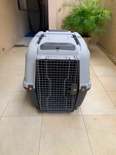 Caixa transporte cão N° 7 médio/grande porte