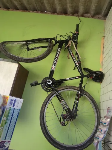 Bicicleta