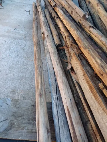 ESCORAS PARA LAJE *