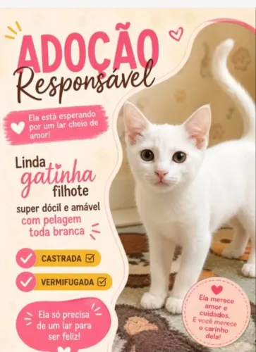 Filhote adoção responsável