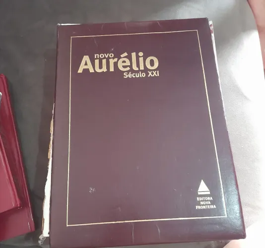 Dicionário Aurélio com avaria na capa / dicionário Grande