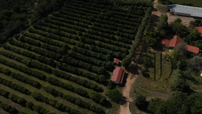 FAZENDA 600ha EM PETROLINA COM 200ha DE MANGA E OUTORGA PARA 300ha