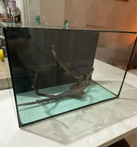 Aquário de 19 litros 40x19x25 acompanhado de uma raiz natural para decoração.