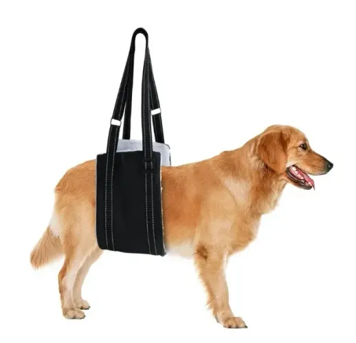 Suporte + Fralda + Rasqueadeira + Inalador Cão idoso Deficiente