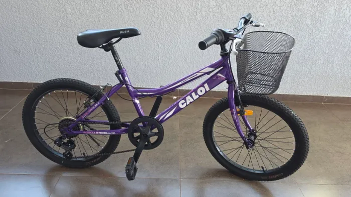 Bicicleta Aro 20 Califórnia
