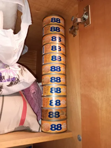 Latas atum ralado 11 unidades