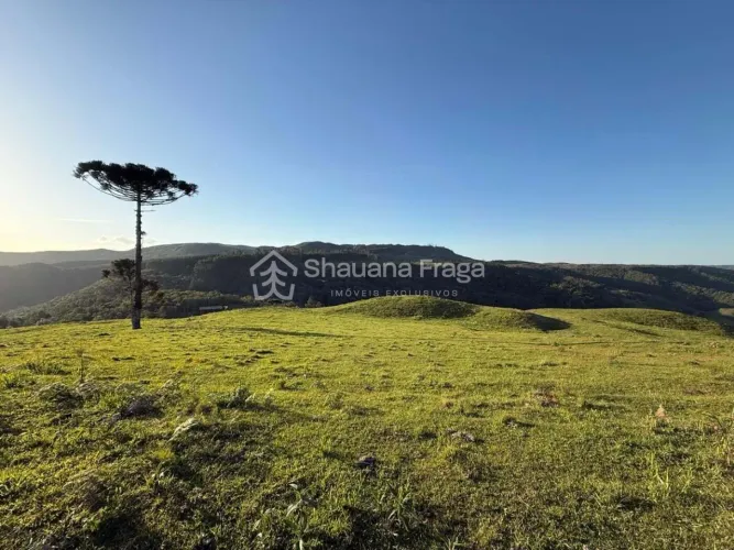 Terreno rural