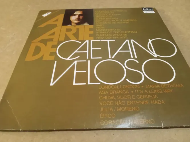 Disco de vinil duplo a arte de Caetano veloso