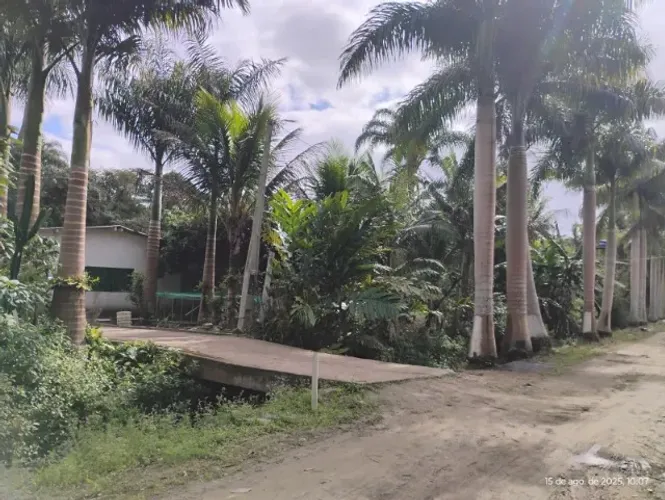 Chácara Residencial no Condomínio Viva Verde/30.000 m2/Iguape/Rod Casemiro Teixeira