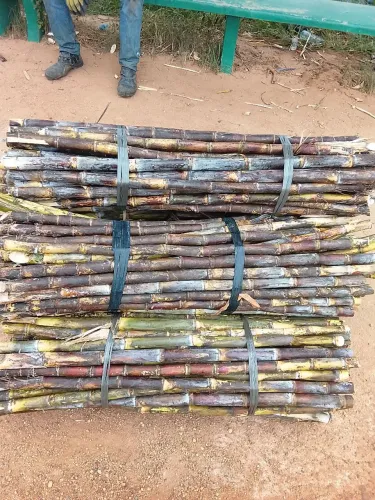 Tácho 1500,00. 600litros