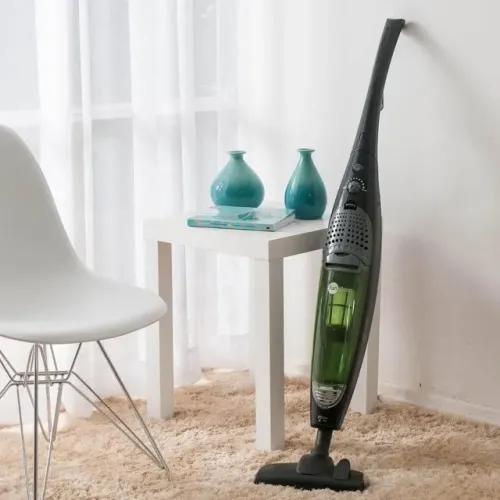 Aspirador Ergo Clean Fun Clean Preto com Verde 220v (Lacrado)
