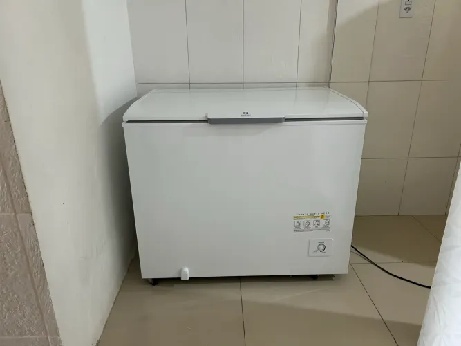 Vende-se Freezer Electrolux 314L - Econômico e espaçoso 
