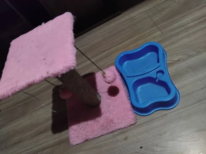 ARRANHADOR E COMEDOURO PARA GATOS