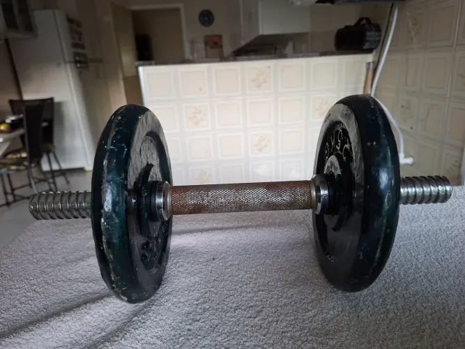 Halteres de musculação
