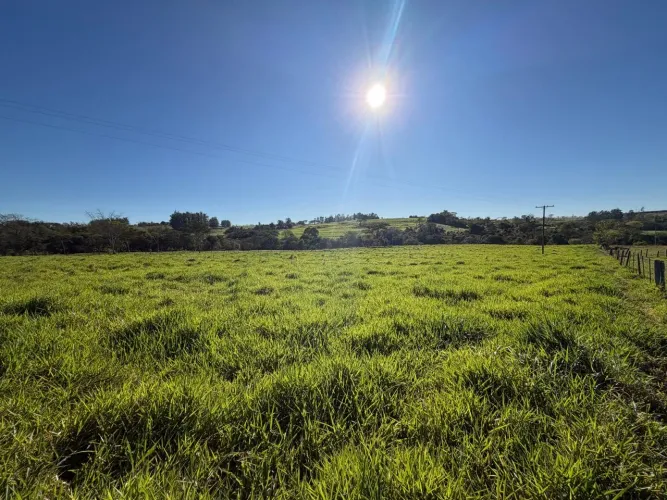 Sítio para Venda em Presidente Bernardes, Rural