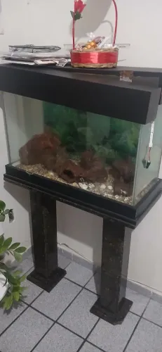 Vendo aguario 