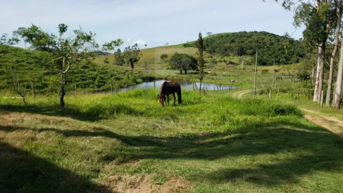Fazenda para Venda em Rio Bonito, Área Rural, 2 dormitórios, 1 banheiro