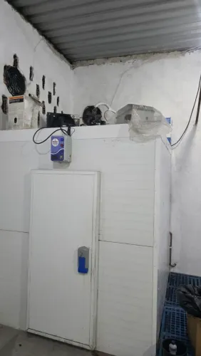 Camera frigorífica