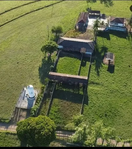 Sítio 11,3 Alqueires, Formada em Pastagem de braquiária para gado Boa de Água, contendo 3 