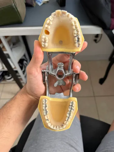Manequim odontológico