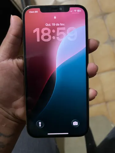 12 pro max 128gb com caixa