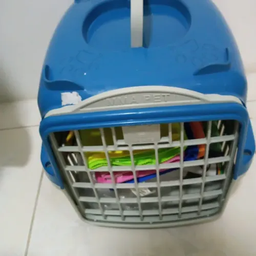 Caixa de transporte para pincher zero e vestidos para cadela