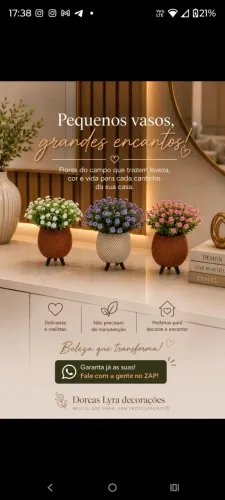 Lindos cachepôs decorativos com flores 
