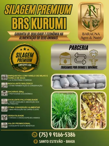 SILAGEM PREMIUM DE BRS KURUMI, ENRIQUECIDA COM FARELO DE MILHO E FARELO DE SOJA
