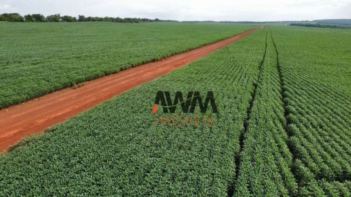 Fazenda à venda, 7066400 m² por R$ 24.000.000,00 - Centro - Paraíso do Tocantins/TO
