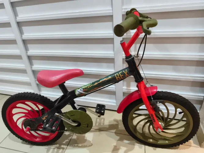 Bicicleta
