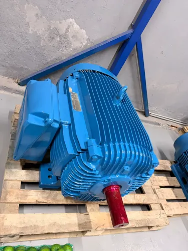Motor elétrico 150 cv 6 polos 1100 rpm 