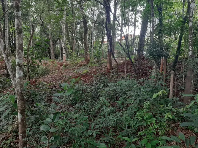 Lote em Macacos