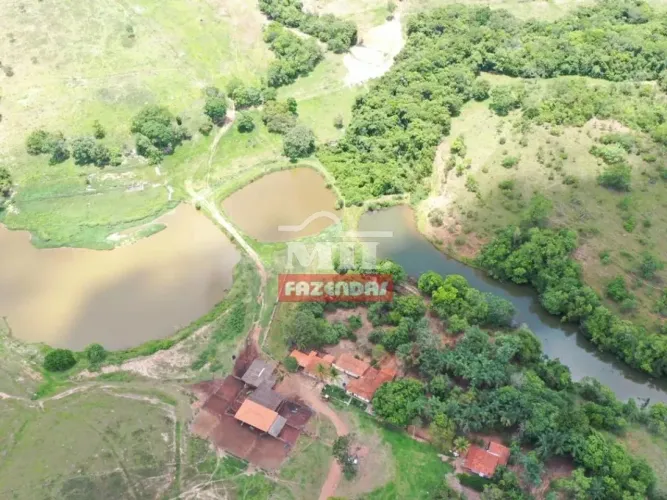 Fazenda 52 alqueires ( 251,68 hectares) Caldas novas - GO