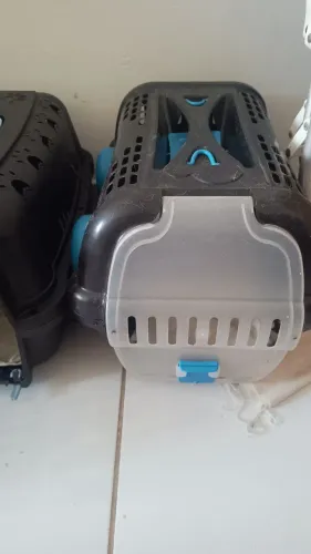 Caixa transporte de gato