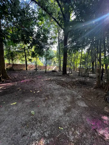 Terreno em mosqueiro