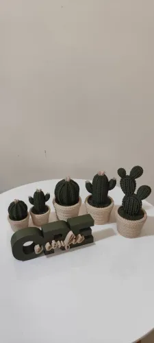 Kit 6 Vasos personalizados de cactos 3D + letreiro 