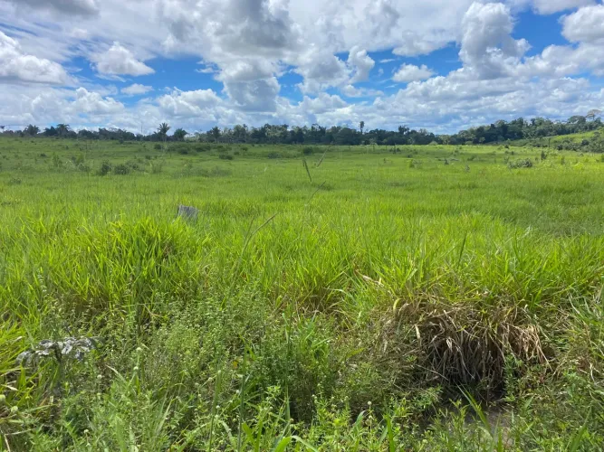 85 hectares a venda em Ruropolis Pará 