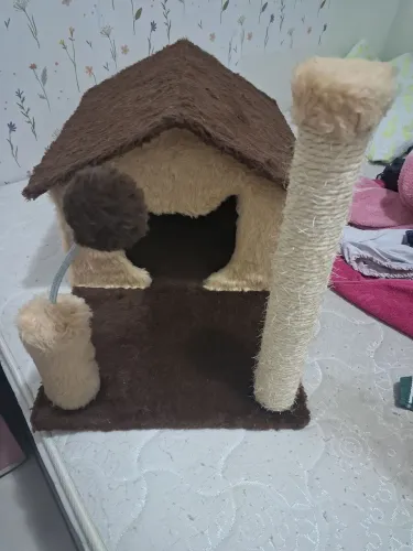 Casa para gatinho