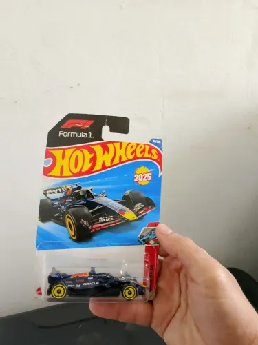 Carrinho hotwheels fórmula 1 ,novo