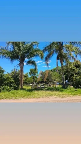 Chácara com 3 dormitórios à venda, 6951 m² por R$ 690.000,00 - Glorinha - Glorinha/RS