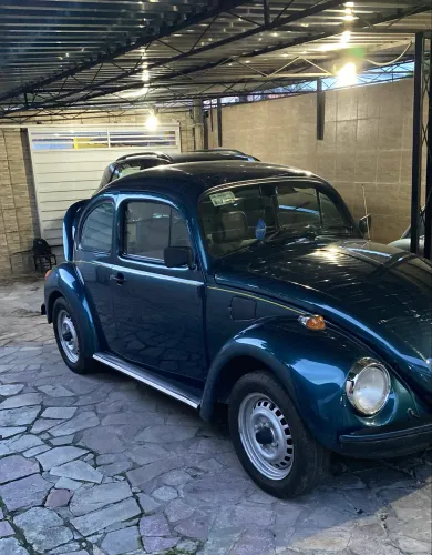 Volkswagen Fusca Fusca (gasolina) 1995
