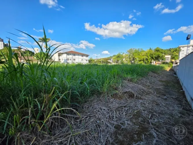 Terreno no Centro de Blumenau - Oportunidade Única de Investimento