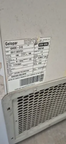 Frezzer Gelopar 220v Expositora com serpentina de cobre. 