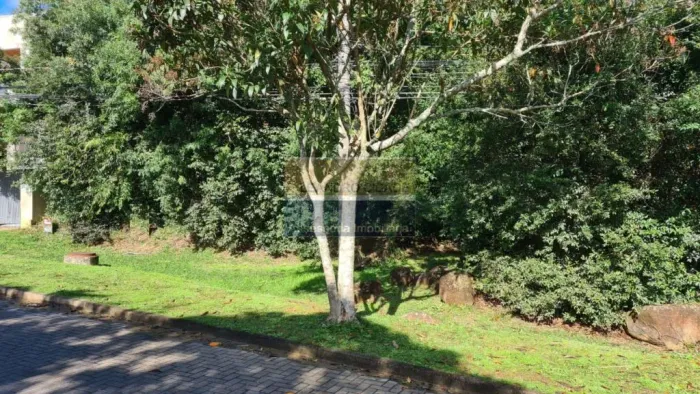 Terreno / Lote / Condomínio - Bairro Condomínio Buena Vista