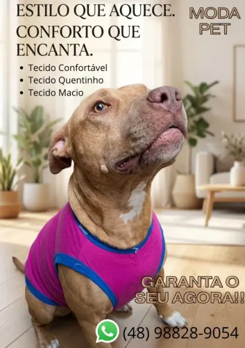 Moda Pet Roupa coleção de inverno.