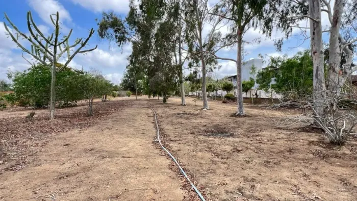 Terreno a venda em Gravatá