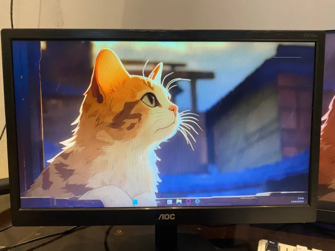 Monitor AOC 18?