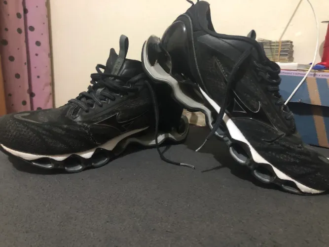Mizuno prophecy 11 