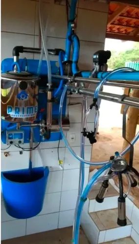 Conjunto ordenhadeira canalizada 50 litros completa pouco usada transfere leite direto 